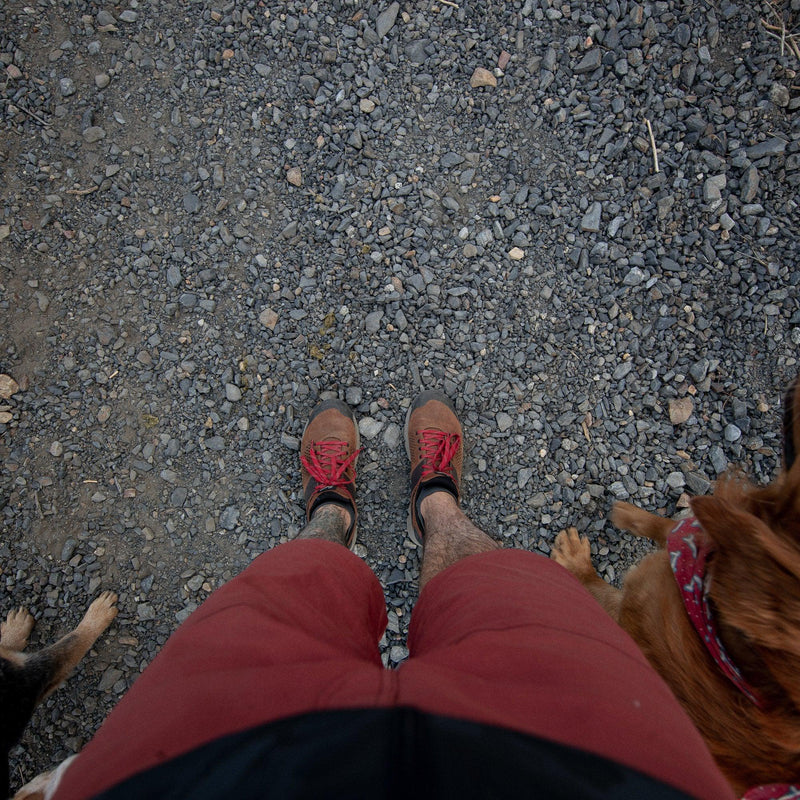 Cargue la imagen en el visor de la galería, Danner Trail 2650 3&quot; Brown/Red - Fearless Outfitters
