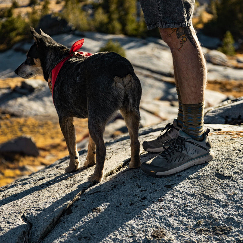 Load image into Gallery viewer, Danner Trail 2650 3&quot; Charcoal/Goblin Blue - Fearless Outfitters
