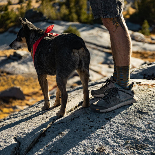 Danner Trail 2650 3" Charcoal/Goblin Blue - Fearless Outfitters