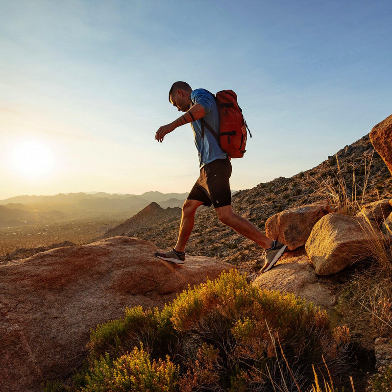 Load image into Gallery viewer, Danner Trail 2650 Campo 3&quot; Brick/Tan/Blue - Fearless Outfitters
